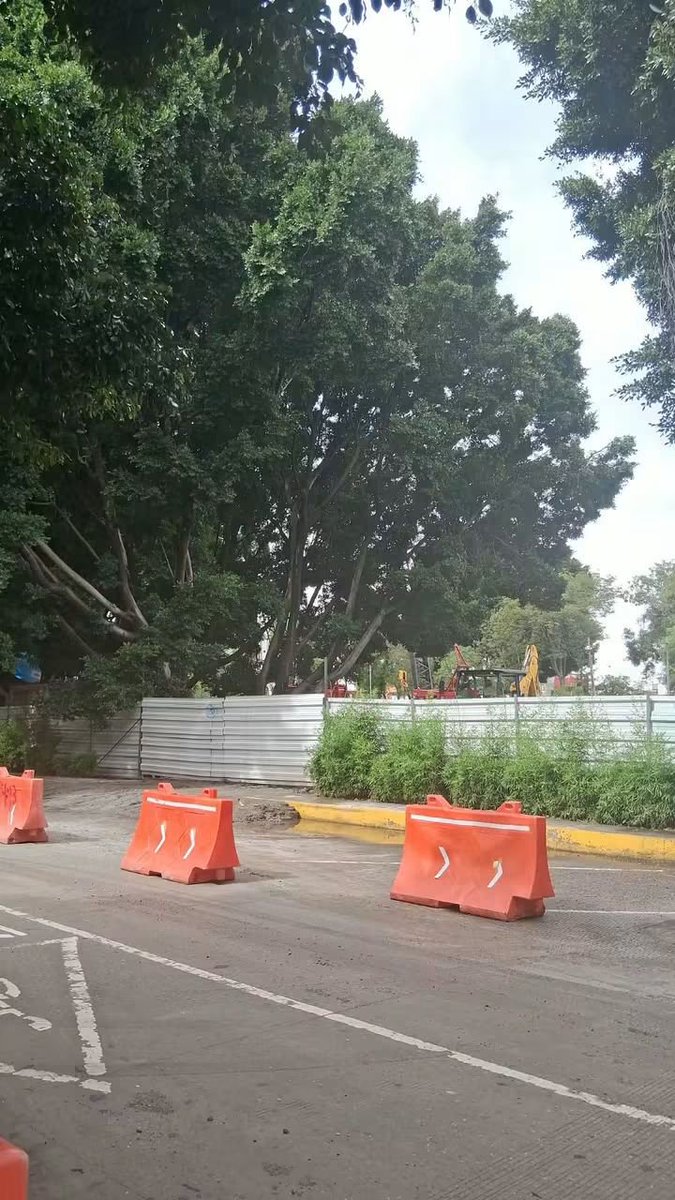 Hechizero_38's tweet photo. Así es como este proyecto que NADIE pidió comenzó a matar árboles en nuestra madreadizima ciudad...😞
#NoAlCablebus https://t.co/JpmflRb0rp