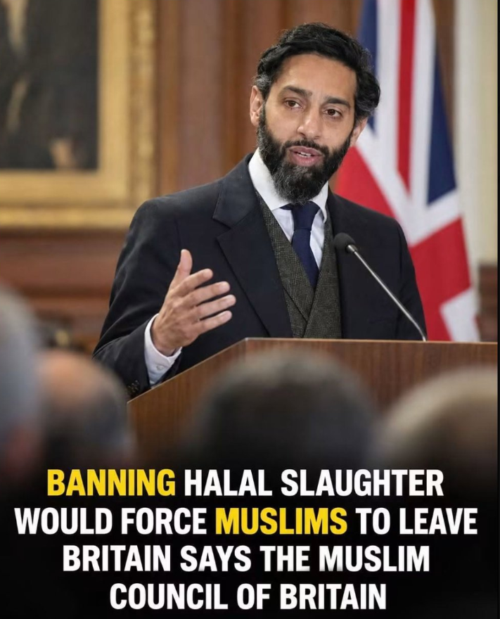 BasilTheGreat's tweet photo. Restore Britain Policy https://t.co/RD4Y9uWqDb