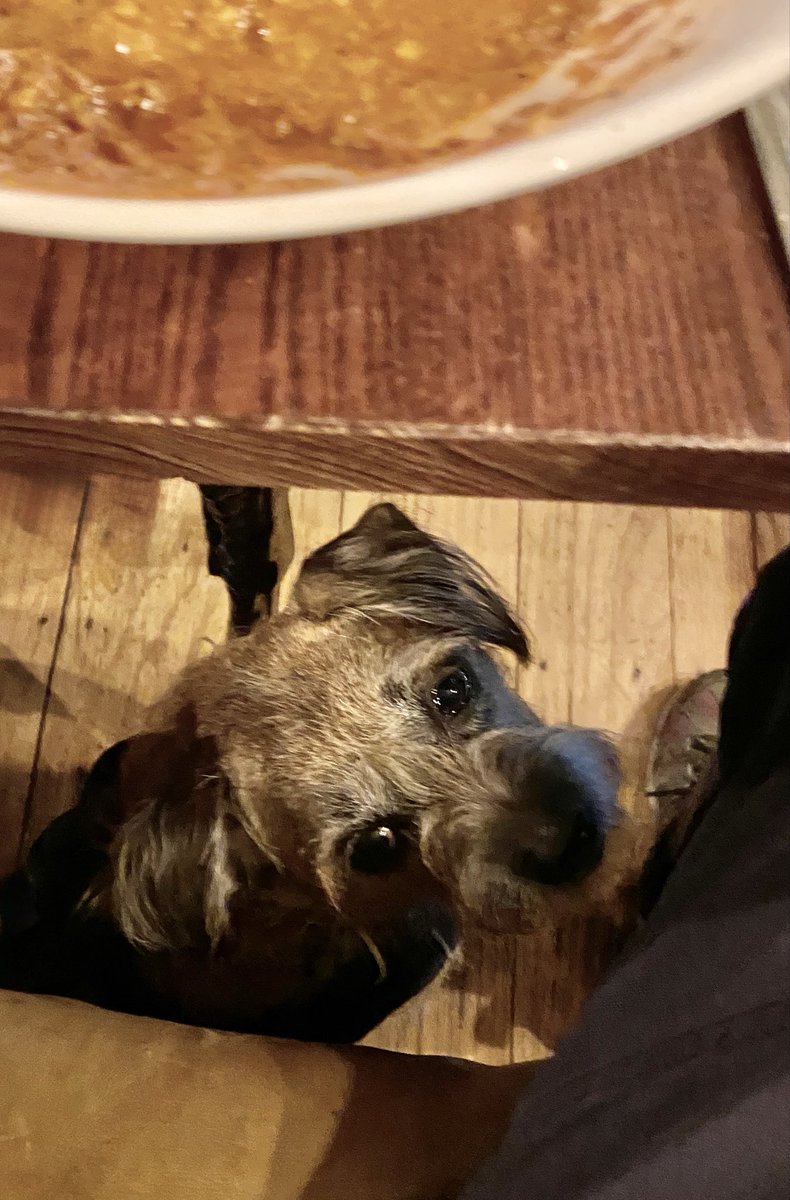 jansborder's tweet photo. Goulash at the Dog and Gun
Are you sure you’re leaving me some? https://t.co/yYPvLHwHiC