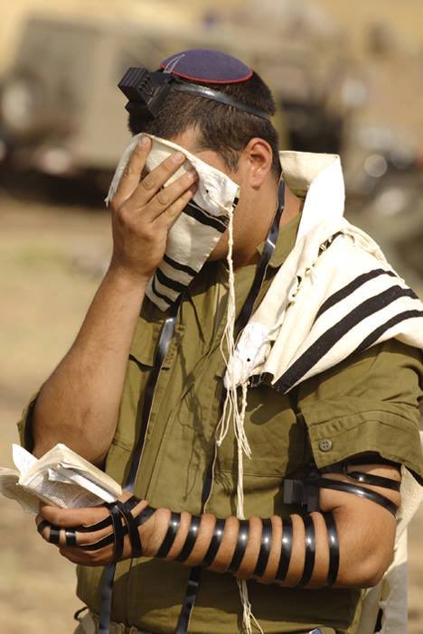 Howlingkosher0 tweet picture