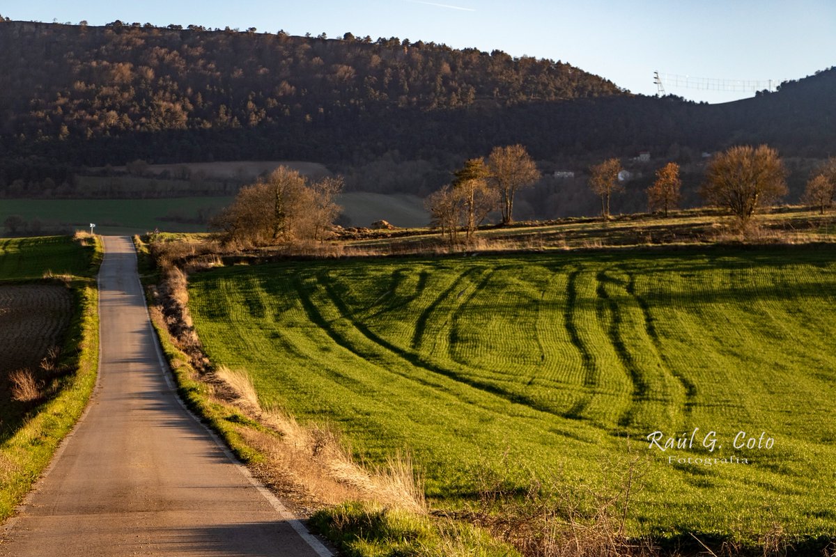 CyLEsVida's tweet photo. Hollaza, Burgos
📷@RaulGCoto https://t.co/MWdpwFLMFH