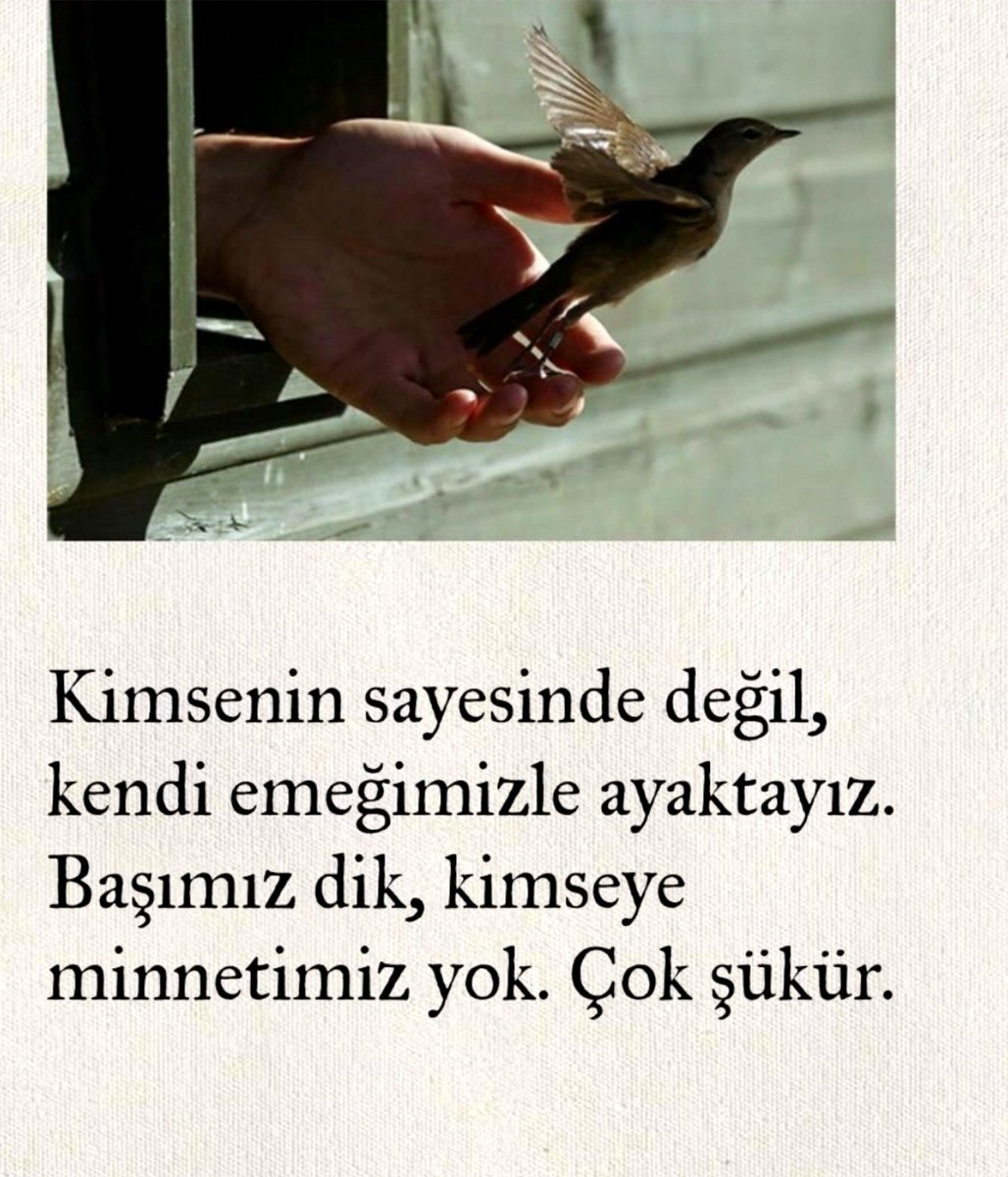 _yagmur_sima's tweet photo. ...... 

🌹🦋 https://t.co/N6cdxJhsak