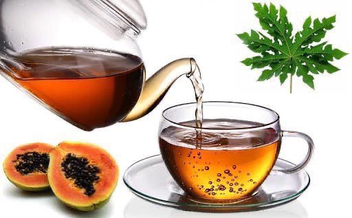 NY_amankwaa's tweet photo. Dried pawpaw leaves single-handedly will shrink that enlarged prostate. 

🍀Just boil or infuse powdered leave as tea in 100-500ml of hot water and take a teacup 2x daily https://t.co/767hfyKKSM