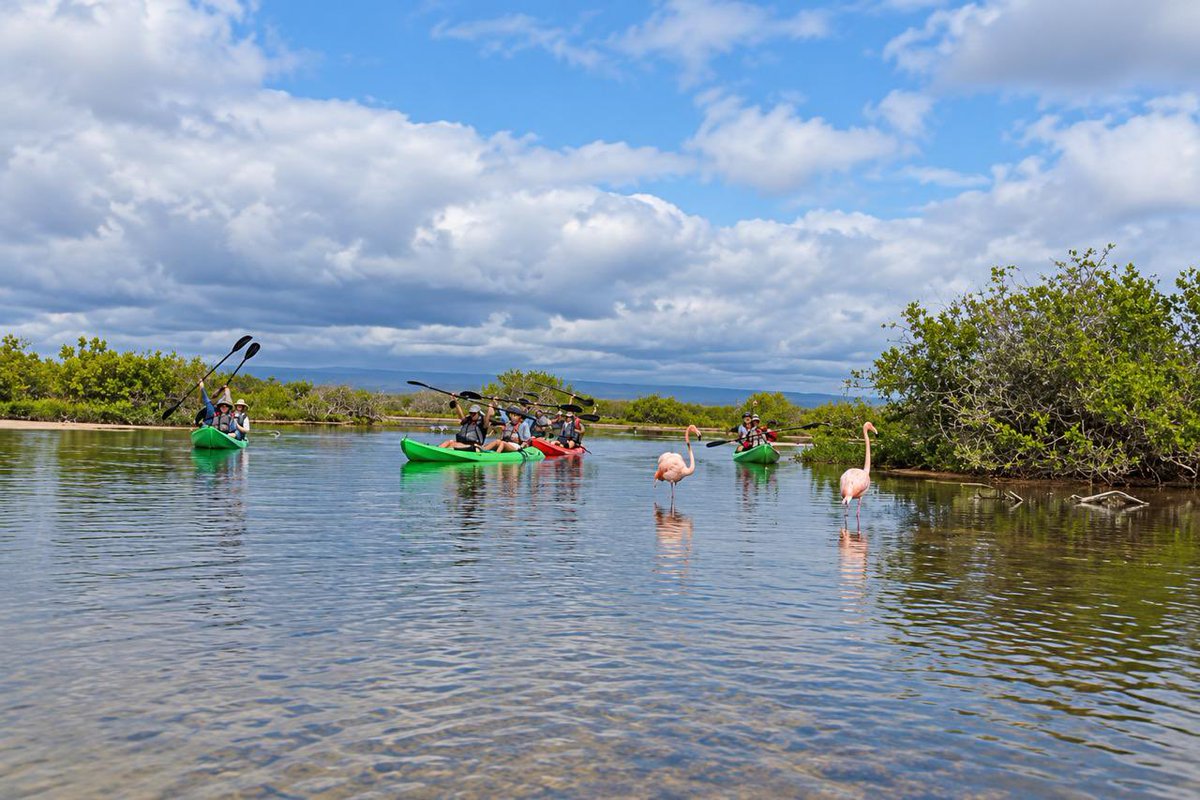 parquegalapagos's tweet photo. INFORMACIÓN IMPORTANTE | Cierre temporal de sitios de visita

Tu seguridad es lo más importante. 

Debido al fuerte oleaje registrado hoy, viernes 9 de octubre, y considerando la información oficial del INOCAR, hemos dispuesto el cierre preventivo de los siguientes sitios de visita, únicamente por el día de hoy:

📍 Santa Cruz

• Playa El Garrapatero
• Tortuga Bay

📍 San Cristóbal

• La Lobería
• Tijeretas
• Puerto Chino

📍 Isabela

• Los Túneles
• Humedales

Nuestros guardaparques se mantienen atentos a las condiciones del mar y en coordinación con las demás autoridades provinciales para precautelar la seguridad de nuestra comunidad y visitantes.

Agradecemos a residentes, turistas, guías y operadores turísticos por su comprensión y por respetar las indicaciones de nuestro personal.

Queremos que disfrutes Galápagos de forma segura. ¡Gracias por tu colaboración!