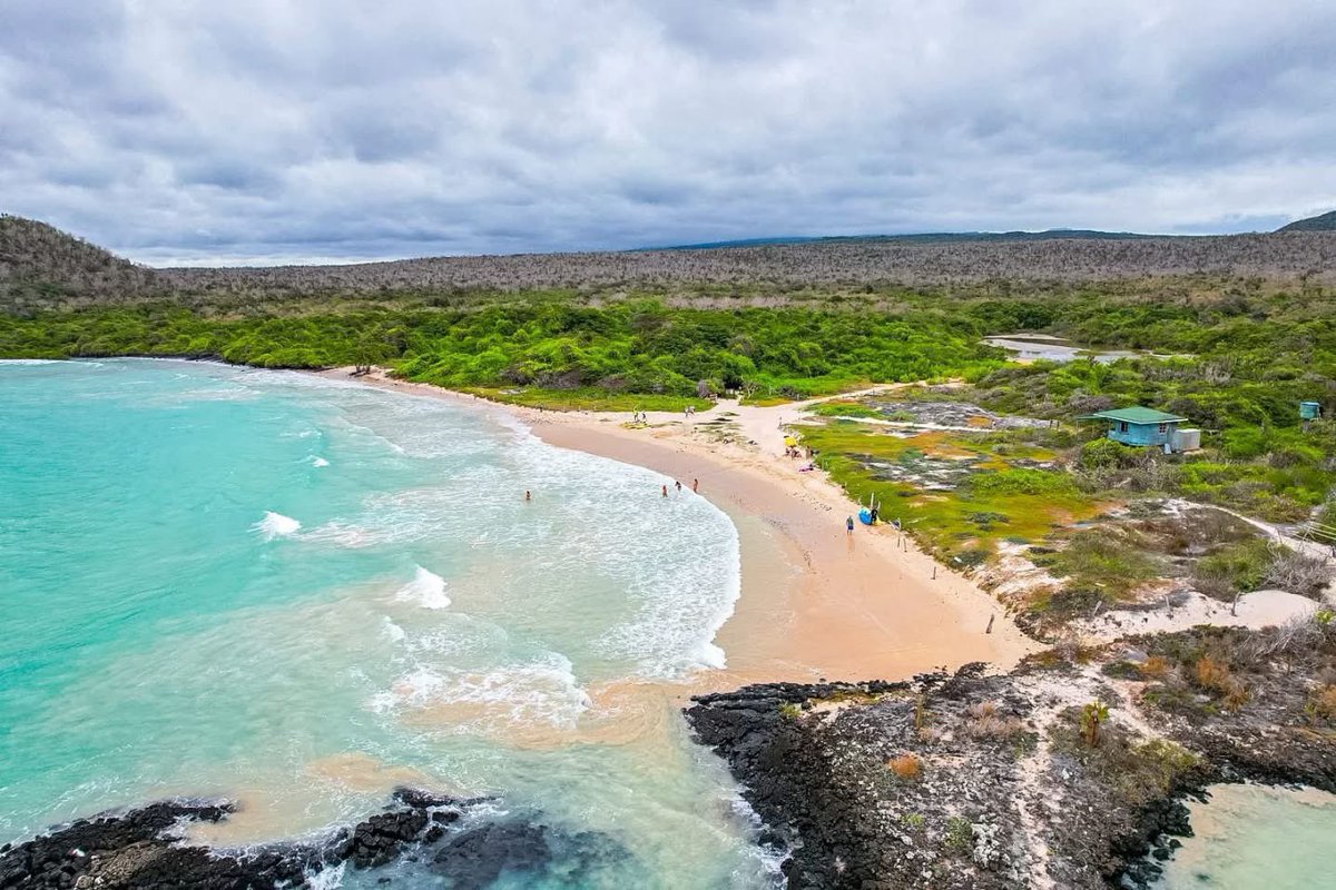 parquegalapagos's tweet photo. INFORMACIÓN IMPORTANTE | Cierre temporal de sitios de visita

Tu seguridad es lo más importante. 

Debido al fuerte oleaje registrado hoy, viernes 9 de octubre, y considerando la información oficial del INOCAR, hemos dispuesto el cierre preventivo de los siguientes sitios de visita, únicamente por el día de hoy:

📍 Santa Cruz

• Playa El Garrapatero
• Tortuga Bay

📍 San Cristóbal

• La Lobería
• Tijeretas
• Puerto Chino

📍 Isabela

• Los Túneles
• Humedales

Nuestros guardaparques se mantienen atentos a las condiciones del mar y en coordinación con las demás autoridades provinciales para precautelar la seguridad de nuestra comunidad y visitantes.

Agradecemos a residentes, turistas, guías y operadores turísticos por su comprensión y por respetar las indicaciones de nuestro personal.

Queremos que disfrutes Galápagos de forma segura. ¡Gracias por tu colaboración!
