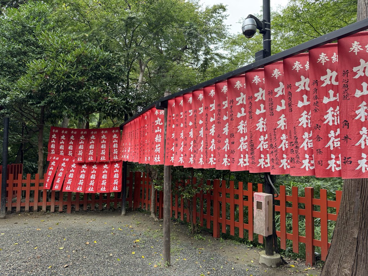baskosanasana's tweet photo. 鎌倉・鶴岡八幡宮境内
丸山稲荷社⛩️

八幡宮で1番古い建築物が
丸山稲荷社

八幡宮本宮の西側にあり
小高い丘の上に鎮座しています

室町時代からあり国重要文化財に🈯️されてます

八幡宮造営前からあり
地主稲荷とも呼ばれてます

鳥居には有名人の名前も見受けます

御朱印はありません🖐️ https://t.co/aoEXkhrWp2