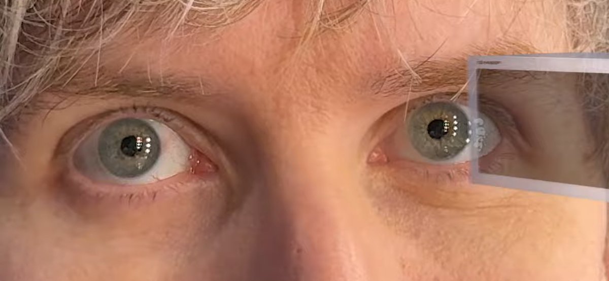 vegmilio's tweet photo. oh wow dan was right when he said his eyes were green, blue and yellow at the same time https://t.co/lRB4a7Al3z
