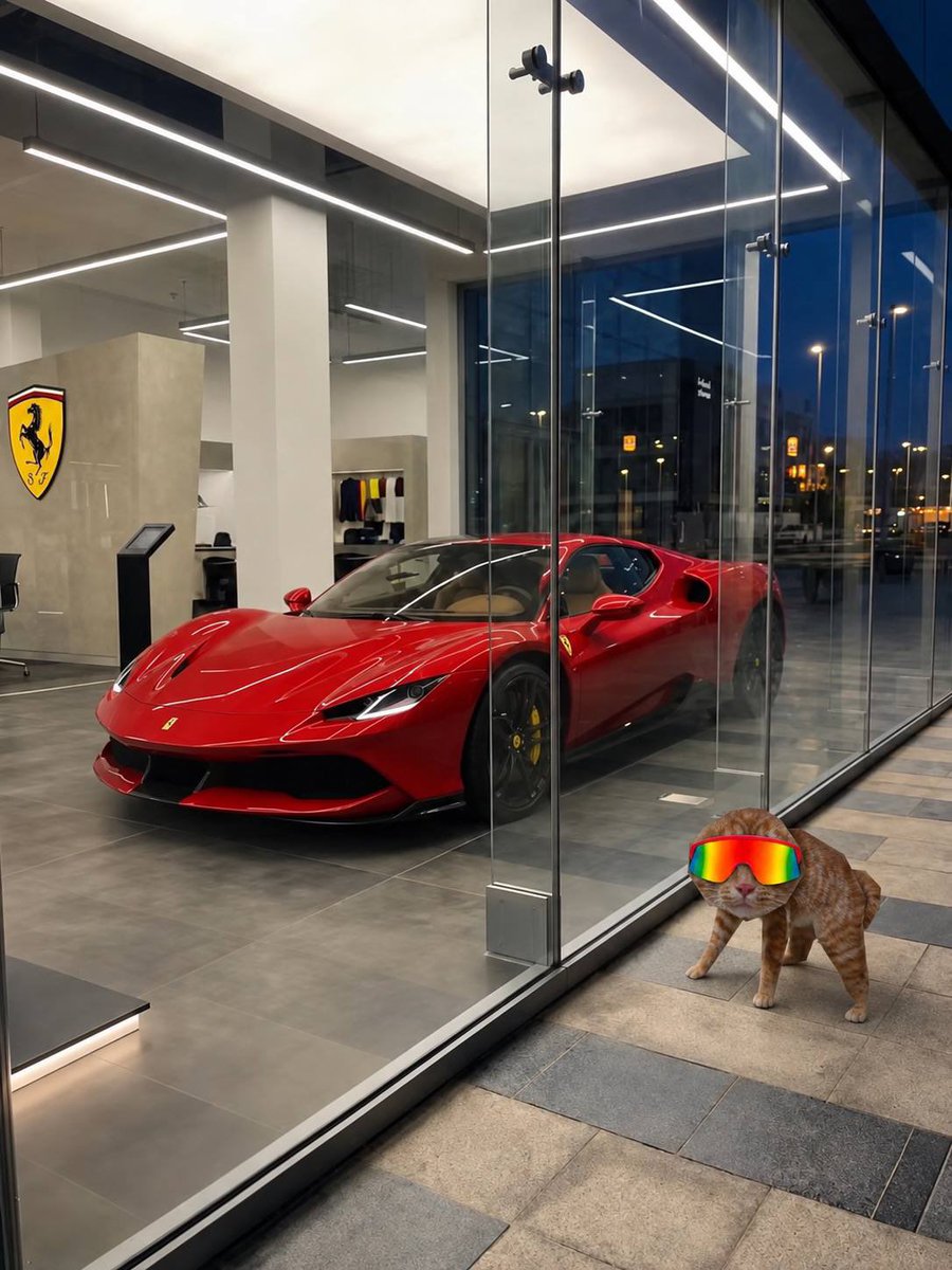 MogCat_OnSol's tweet photo. No risk no rari. https://t.co/P56Ay4xheZ