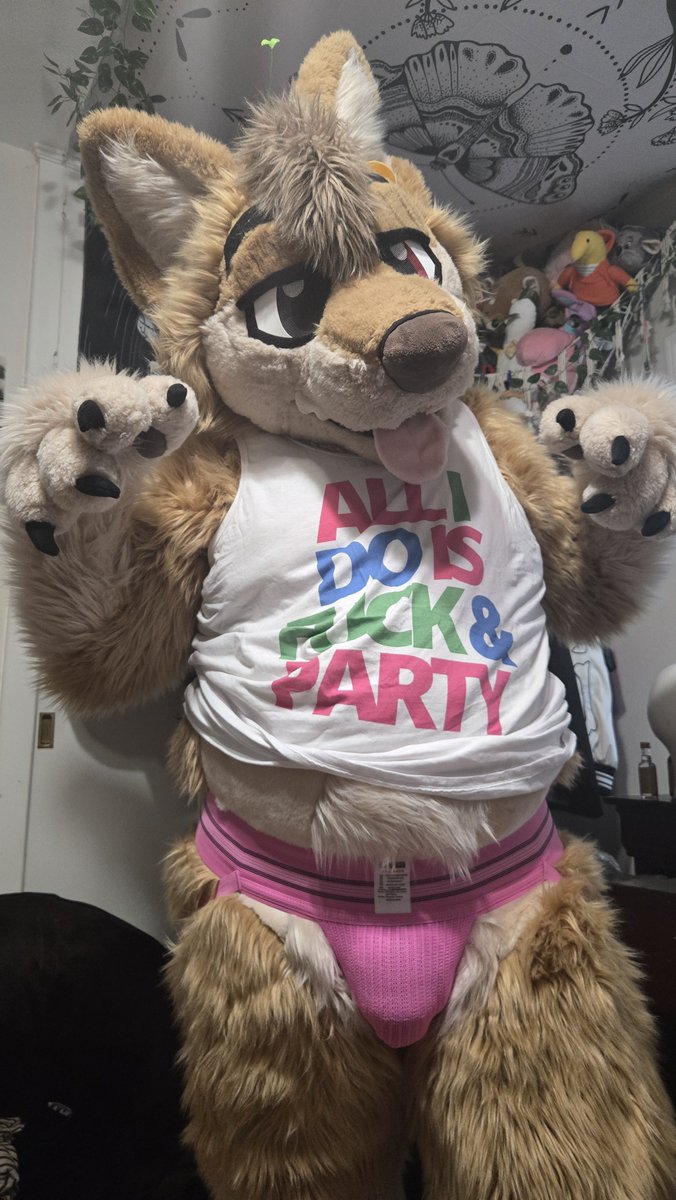 eddibleshiba's tweet photo. #FursuitFriday https://t.co/WhLSHnOS3C