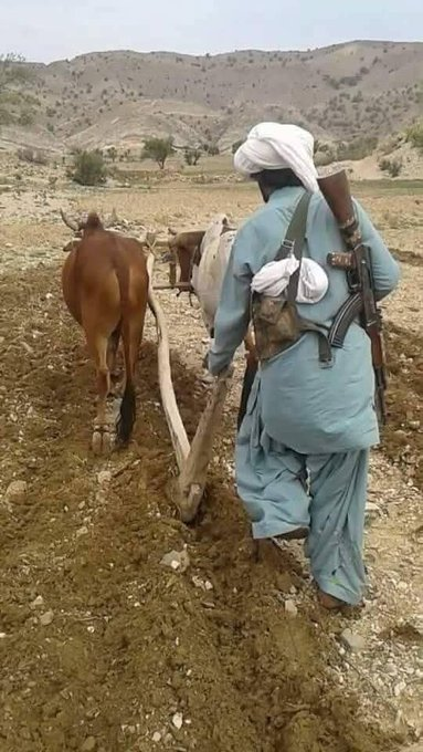 Noor99826's tweet photo. بلوچستان میں خوف کے سائے! اگر کسان اپنی فصل اور مویشیوں کی حفاظت کے لیے بندوق اٹھانے پر مجبور ہو تو یہ لمحۂ فکریہ ہے۔ مسلح گروہوں کی مبینہ لوٹ مار پر خاموشی کیوں؟ عوام کے جان و مال کا تحفظ سب کی ذمہ داری ہے۔

بلوچ کو امن چاہیے، خوف نہیں! https://t.co/MicXG4bMFU
