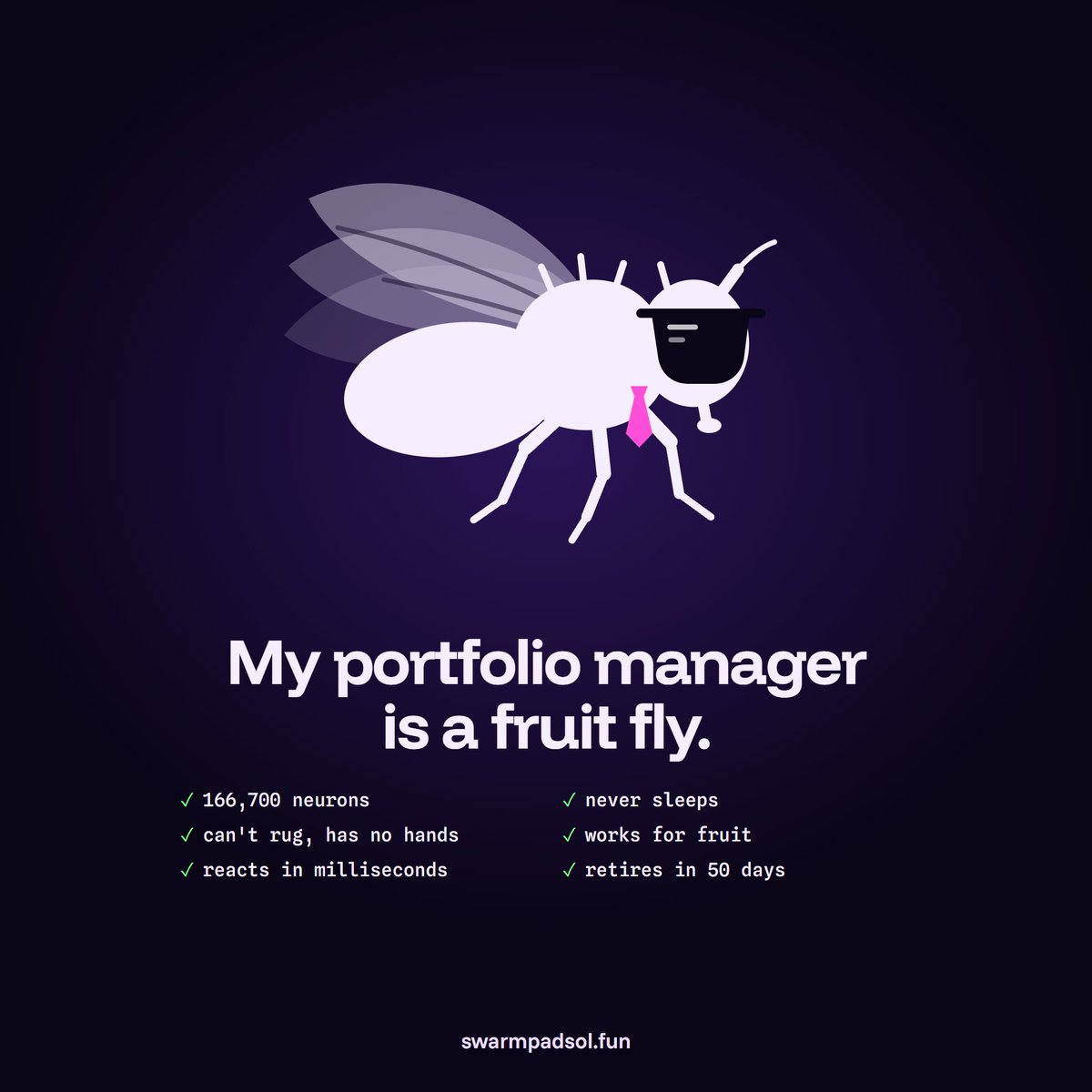 Swarmpadsol's tweet photo. My portfolio manager is a fruit fly.

166,700 neurons. Never sleeps. Can't rug, has no hands.

Works for fruit. Retires in 50 days.

Honestly the best hire I've made.

https://t.co/2RC1kebNws https://t.co/027SnfdrLH
