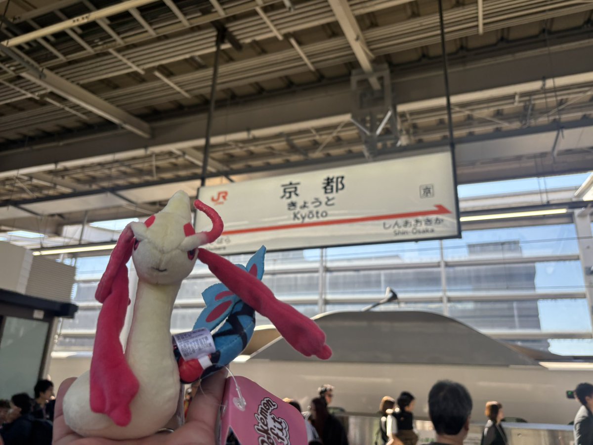 haruto_pokecard's tweet photo. ミロカロスと娘と京都大阪旅行✨
#LPPU
#LPPUポケぬい
#ぬい活
#ポケモン https://t.co/UsFzzyZK5e