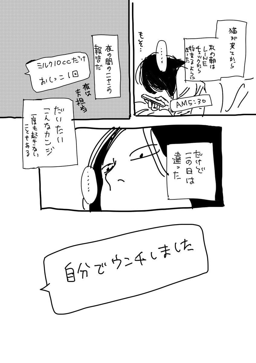 nemuyoko's tweet photo. 怒涛の1週間でした。。。。あっという間に子猫の体重が100g増えた。しゅごい。。。 https://t.co/BVqog4Twr0