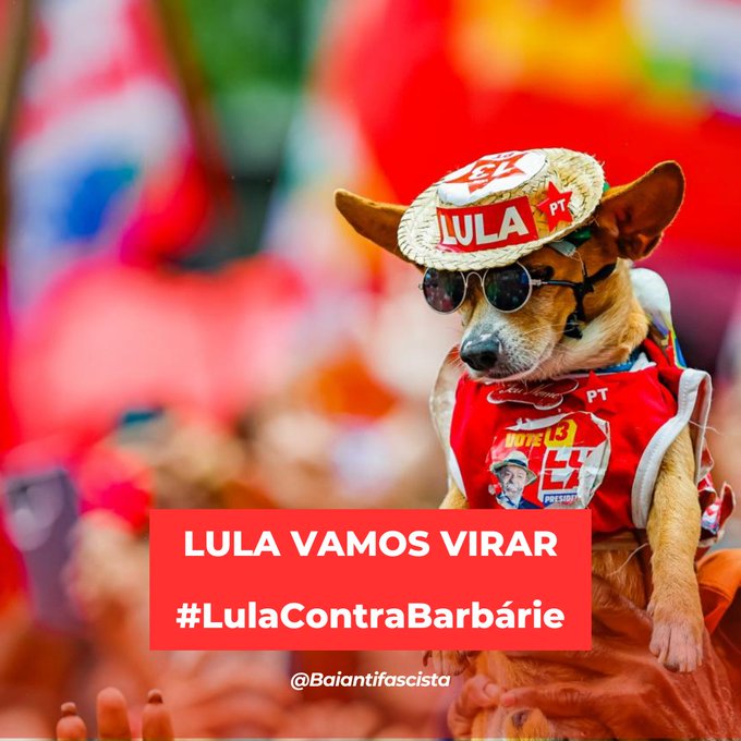 A small dog wearing sunglasses, a PT hat labeled 'LULA', and a red campaign shirt with the text 'LULA VAMOS VIRAR #LulaContraBarbárie' and '@Baianifascista'.