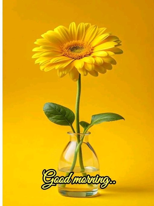 A yellow gerbera daisy is displayed in a small clear glass vase against a solid yellow background, with the text 'Good morning..' written across the bottom.