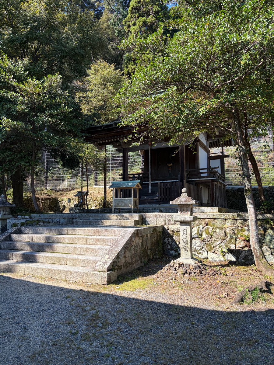 oh_zon_1st's tweet photo. 敬虔な信者たる私。
今朝もはやくから神社にてお勤めをしている。
スピリチュアルとは、高い砂利や紙切れを買い、無理難題を叶えてくれと拝み倒すものではない。万事、最前線にて物事を行う勇気を補う為にある。
という訳で、力士候補の新弟子を紹介してくれと、神社側に頼んだ。総帥。#月読だより https://t.co/7bQ1ID5fHG
