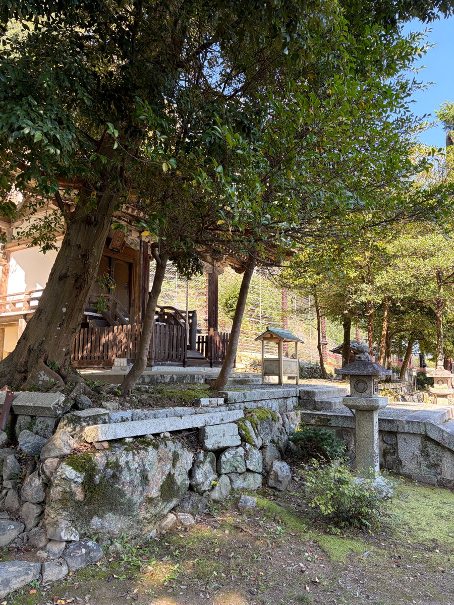 oh_zon_1st's tweet photo. 敬虔な信者たる私。
今朝もはやくから神社にてお勤めをしている。
スピリチュアルとは、高い砂利や紙切れを買い、無理難題を叶えてくれと拝み倒すものではない。万事、最前線にて物事を行う勇気を補う為にある。
という訳で、力士候補の新弟子を紹介してくれと、神社側に頼んだ。総帥。#月読だより https://t.co/7bQ1ID5fHG