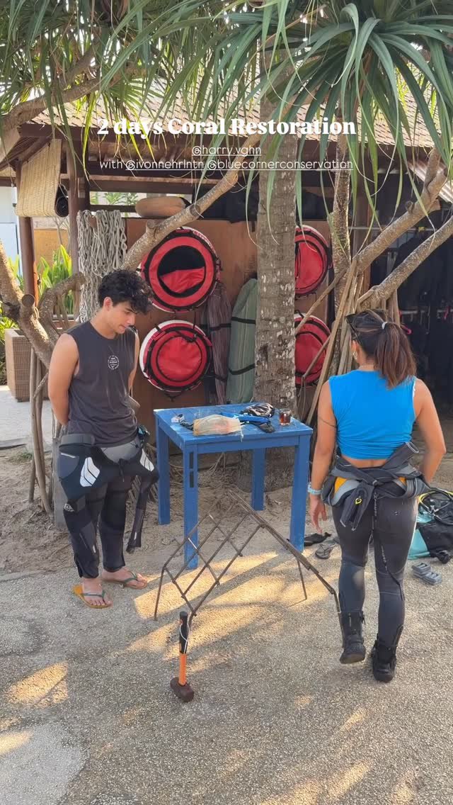 mysaadisini's tweet photo. coral restoration day🪸🪸 https://t.co/su3DcJbjRt
