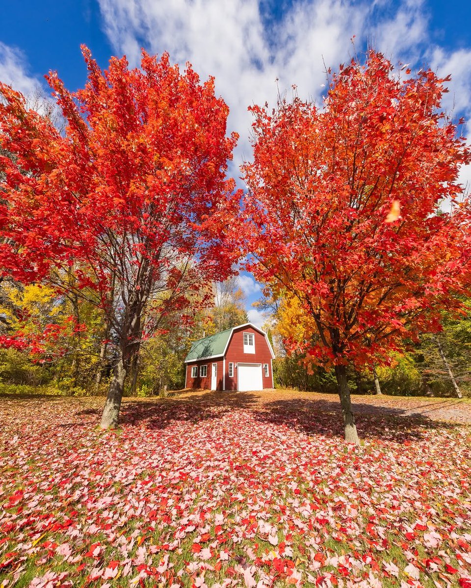 bloomifyyy's tweet photo. Quebec city 📍 https://t.co/ALSEjxzx8f