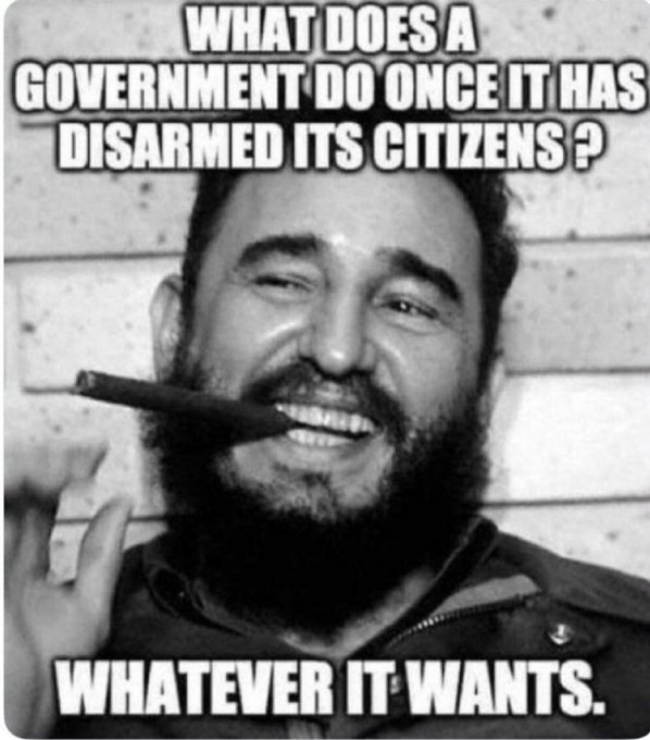 A black-and-white meme featuring Fidel Castro smoking a cigar, with text asking 'WHAT DOES A GOVERNMENT DO ONCE IT HAS DISARMED ITS CITIZENS?' and answering 'WHATEVER IT WANTS.'