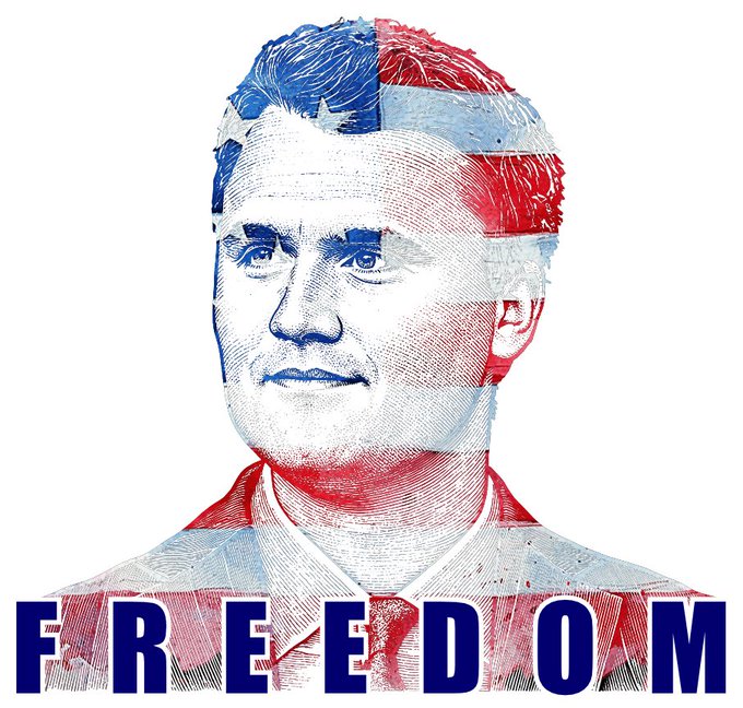 A stylized portrait illustration of Franklin D. Roosevelt overlaid with red, white, and blue American flag patterns, with the word "FREEDOM" in bold blue letters across the bottom.
