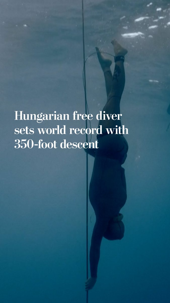An underwater photo shows a free diver descending along a rope, with text reading 'Hungarian free diver sets world record with 350-foot descent.'