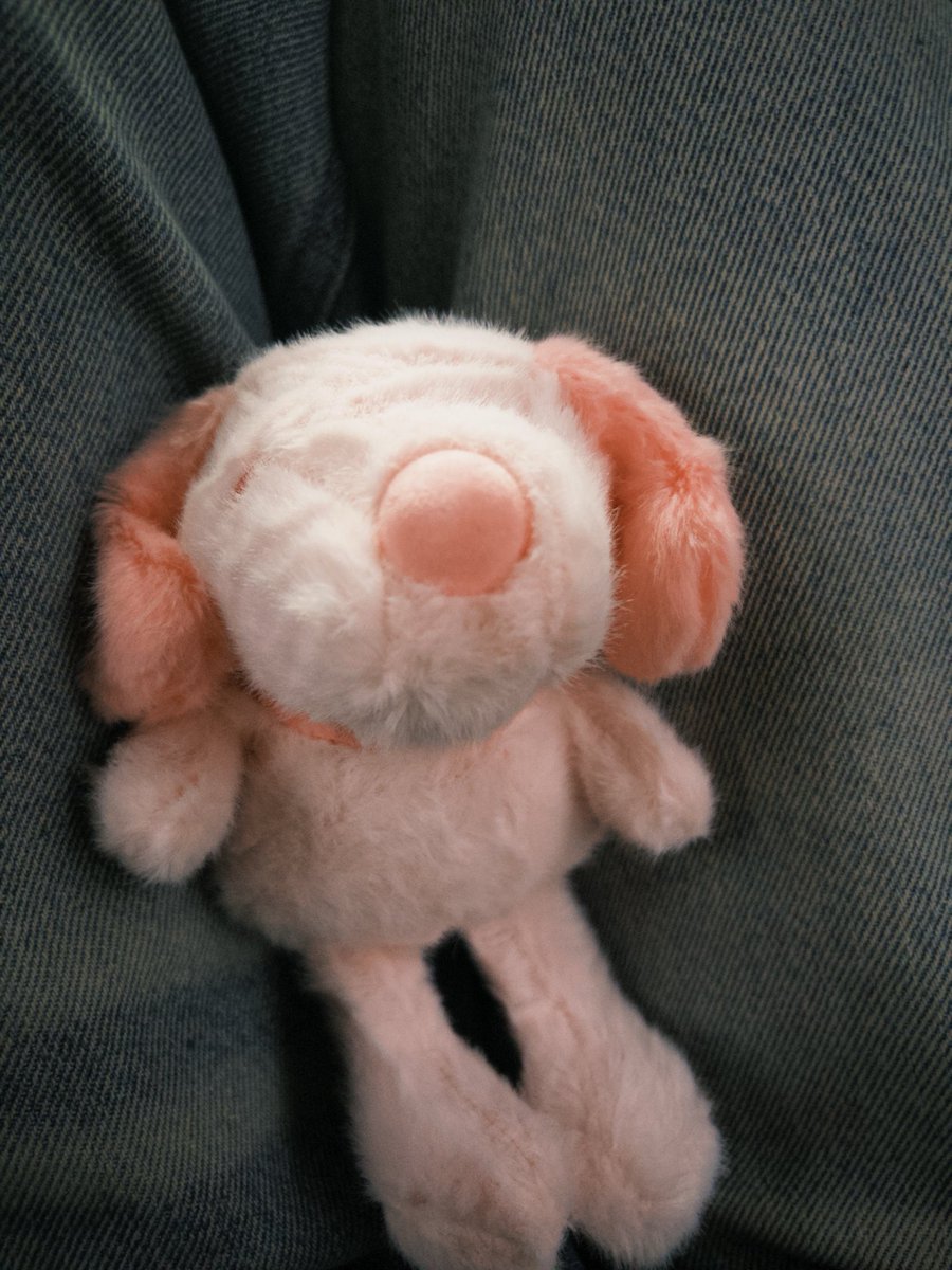scobceta's tweet photo. fui na loja de pelucia e pensei em pegar alguma coisa pro meu amor, mas nn achei nada que ela gostasse, ai peguei um snoopy (q eu amo) rosa (cor fav dela) pra descobrir só agora que ela odeia o snoopy, gente wtf qm odeio o snoopy https://t.co/cgp7tMeJ11
