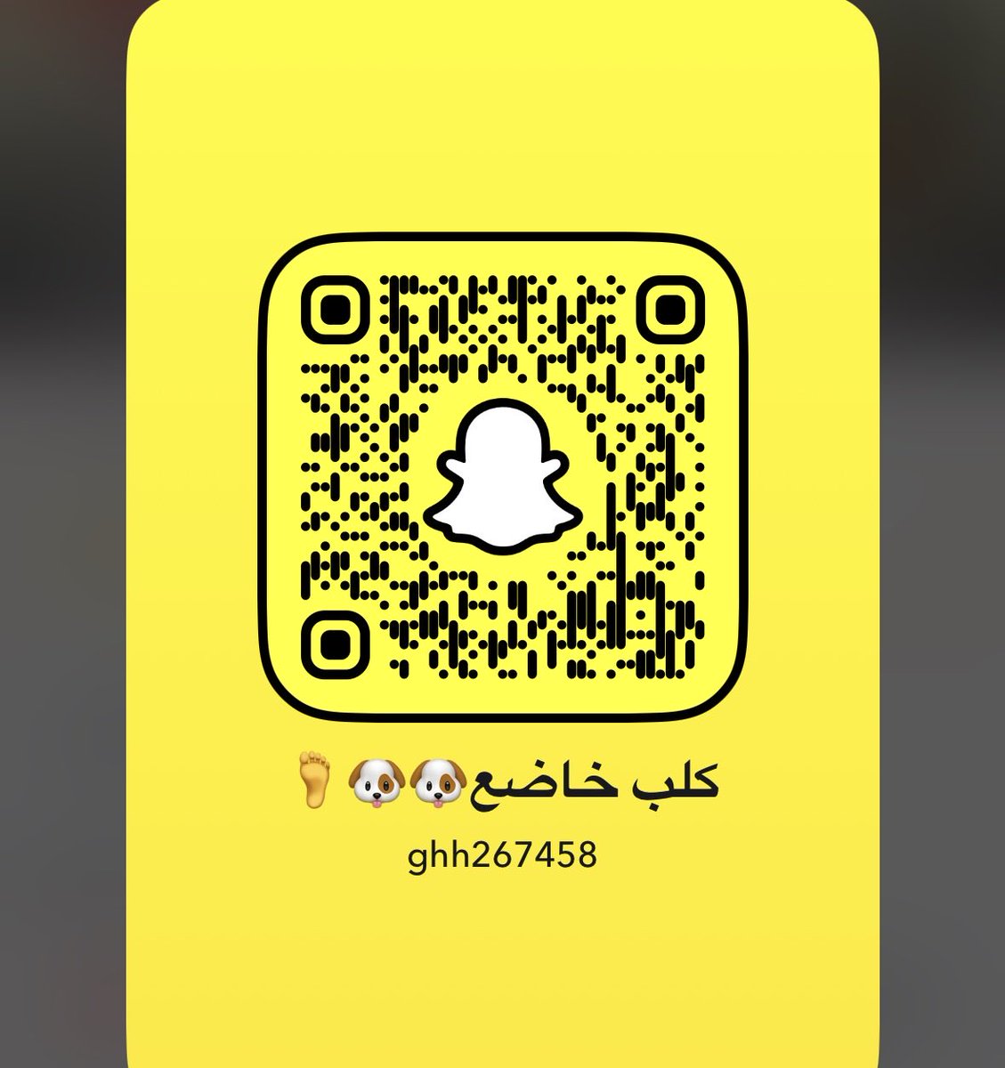 Habsbsjejb's tweet photo. بدي عمه ساديه اعرضلها كام https://t.co/hDOb9YIG9B
