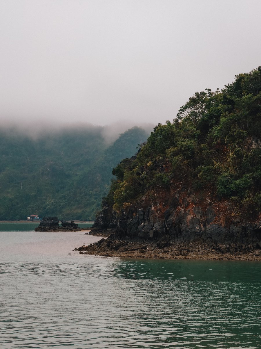nessalopes5's tweet photo. Slow moments in Ha Long Bay. We loved exploring this side of Vietnam with an overnight Doris Cruise stay, including meals, kayaking, a private balcony suite, sunset entertainment, and a trip to Dark &amp; Bright Cave. Add it to your itinerary. https://t.co/dQSUcCiA0A
