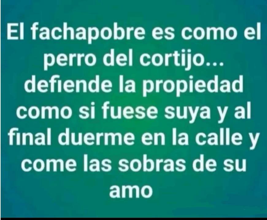 incaparrix's tweet photo. @Maria_EstevezG https://t.co/ZdqyYkHShm