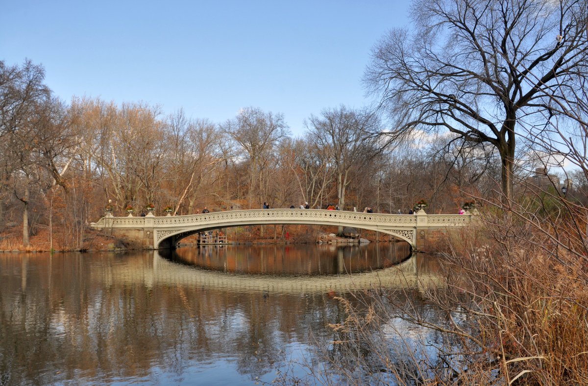 beyonddc's tweet photo. Adorable footbridges in major east coast urban parks. What others ya got? https://t.co/0wM6kAeV2Y