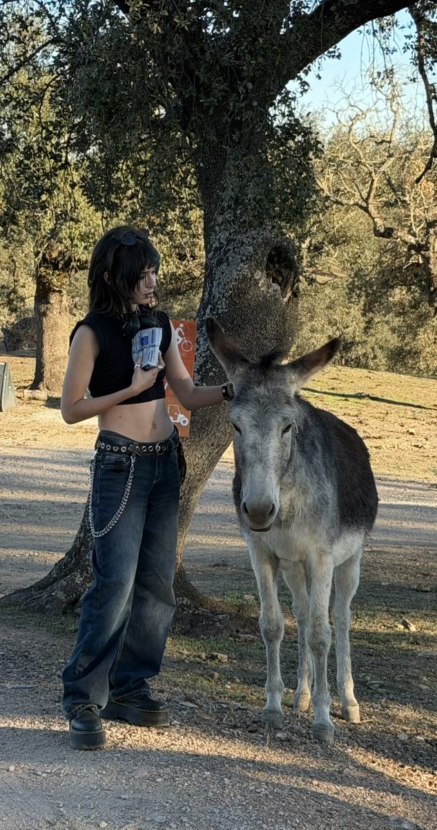 Marti_Chann's tweet photo. Tapping into my dormant inner horse girl energy https://t.co/wYin8qExcm