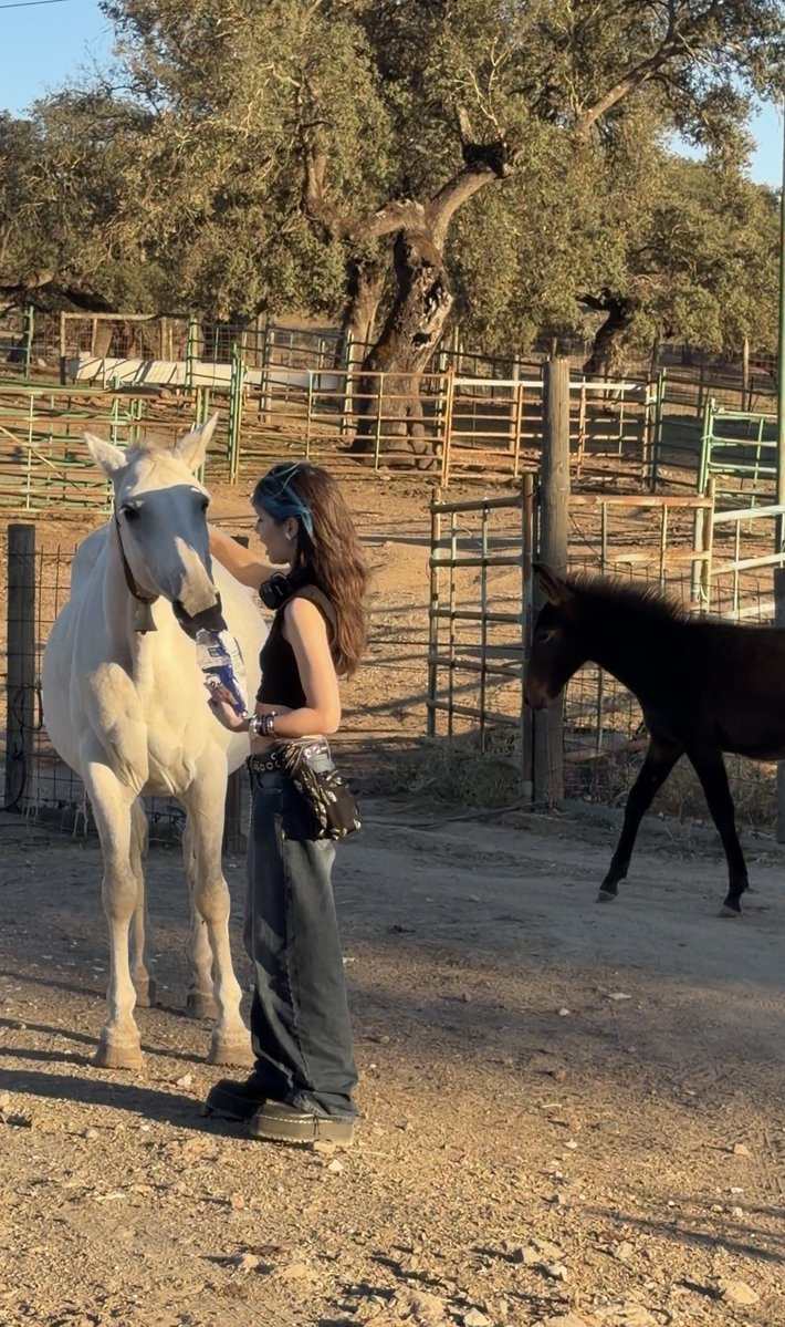 Marti_Chann's tweet photo. Tapping into my dormant inner horse girl energy https://t.co/wYin8qExcm