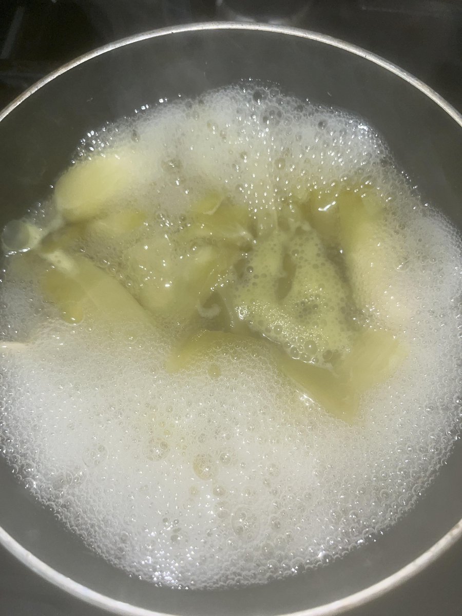 mikewilliamsii's tweet photo. Making cactus tea... #cactus #tea #cactusmedicine #plants #usa https://t.co/guByOPhwxH