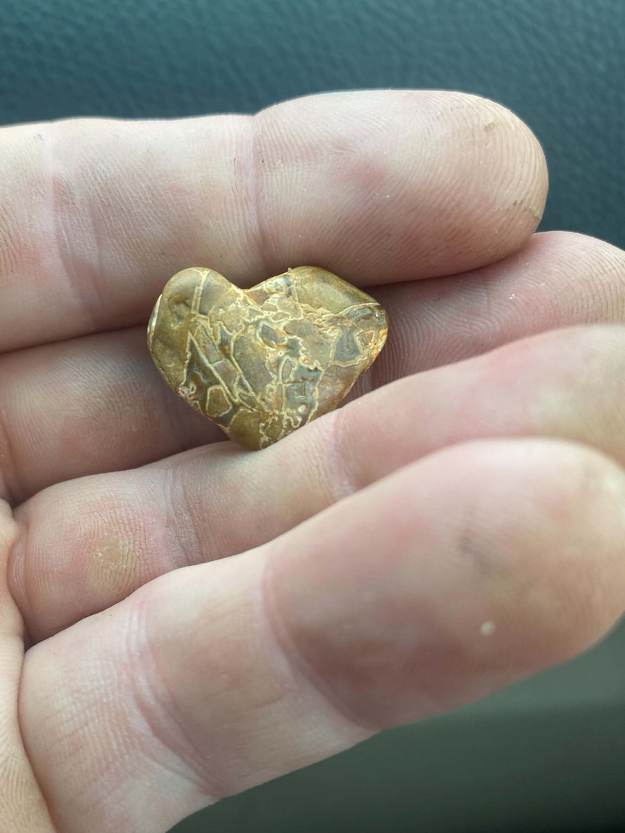 OSwerve42069's tweet photo. are you ready to rock #rocks #jasper #geology #rockID #whatisit https://t.co/a7mJiiOOXx