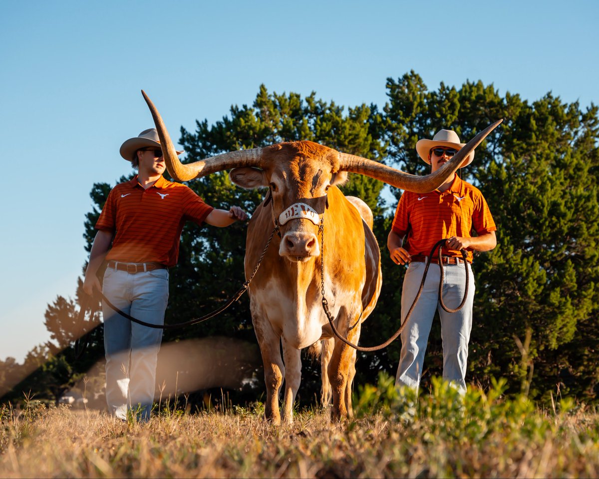 TexasLonghorns's tweet photo. the big fella is ready for the weekend 🤘

#HookEm https://t.co/FN9KE596iI