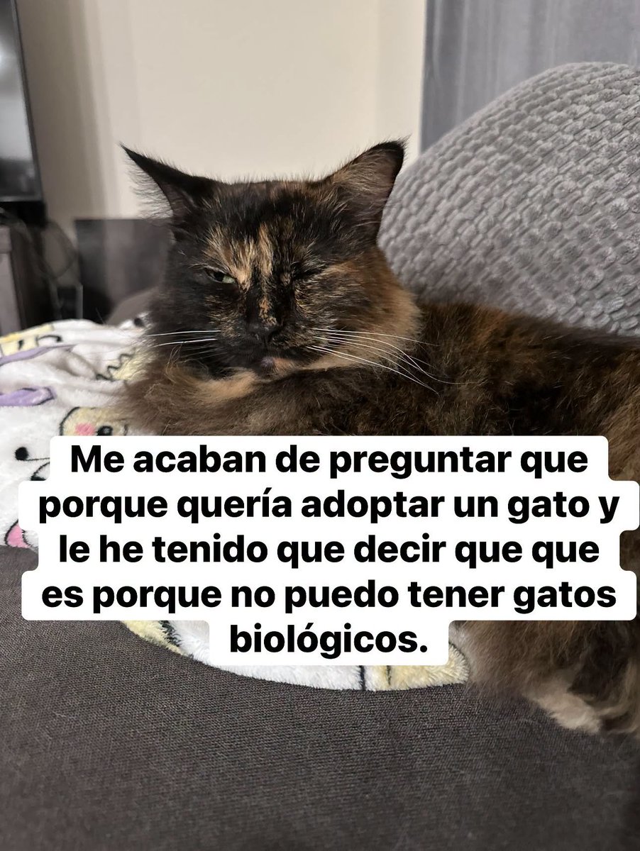 BocataJamonEHM's tweet photo. https://t.co/tuRue6SURx