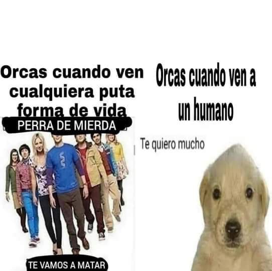 bjs_alejo2's tweet photo. https://t.co/xekqRK1afP