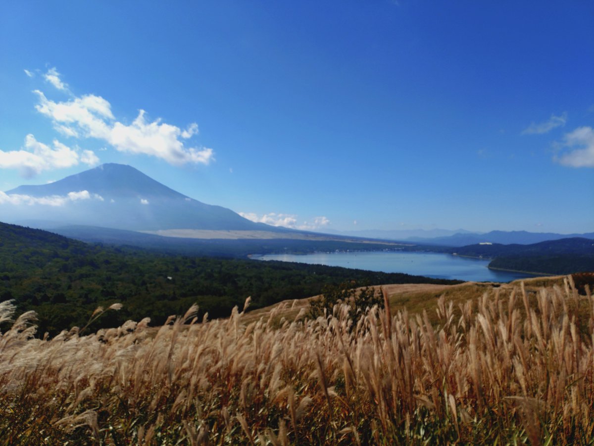 nrkgt999photo's tweet photo. おはようございます
昨夜は富士山五合目で
星空撮影
途中雲が多かったのに
着いたら快晴！
ふしと一緒には撮れなかったけれど綺麗な星空見れて感激
今回富士山の雪が遅れていて
まだ山頂が白くなってないのは寂しかったな
 #富士山  #山中湖 https://t.co/5YTUnWdaQb
