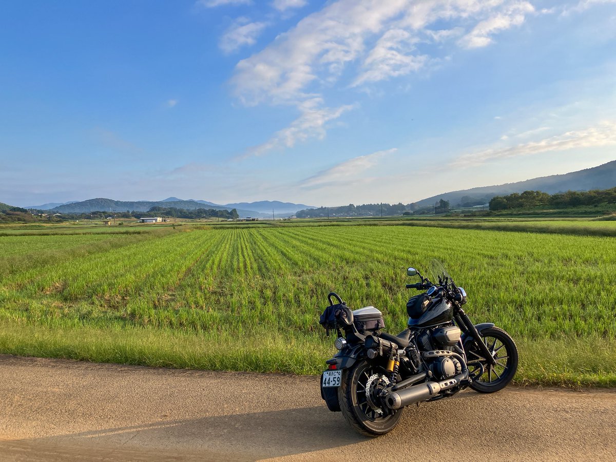 motorcycle_cat's tweet photo. 爽やかな朝だぜ!茨城県道138号を逸れ枝道より。相変わらず素晴らしい日本の原風景だ。 #XVS950CU https://t.co/o531rfQqlG