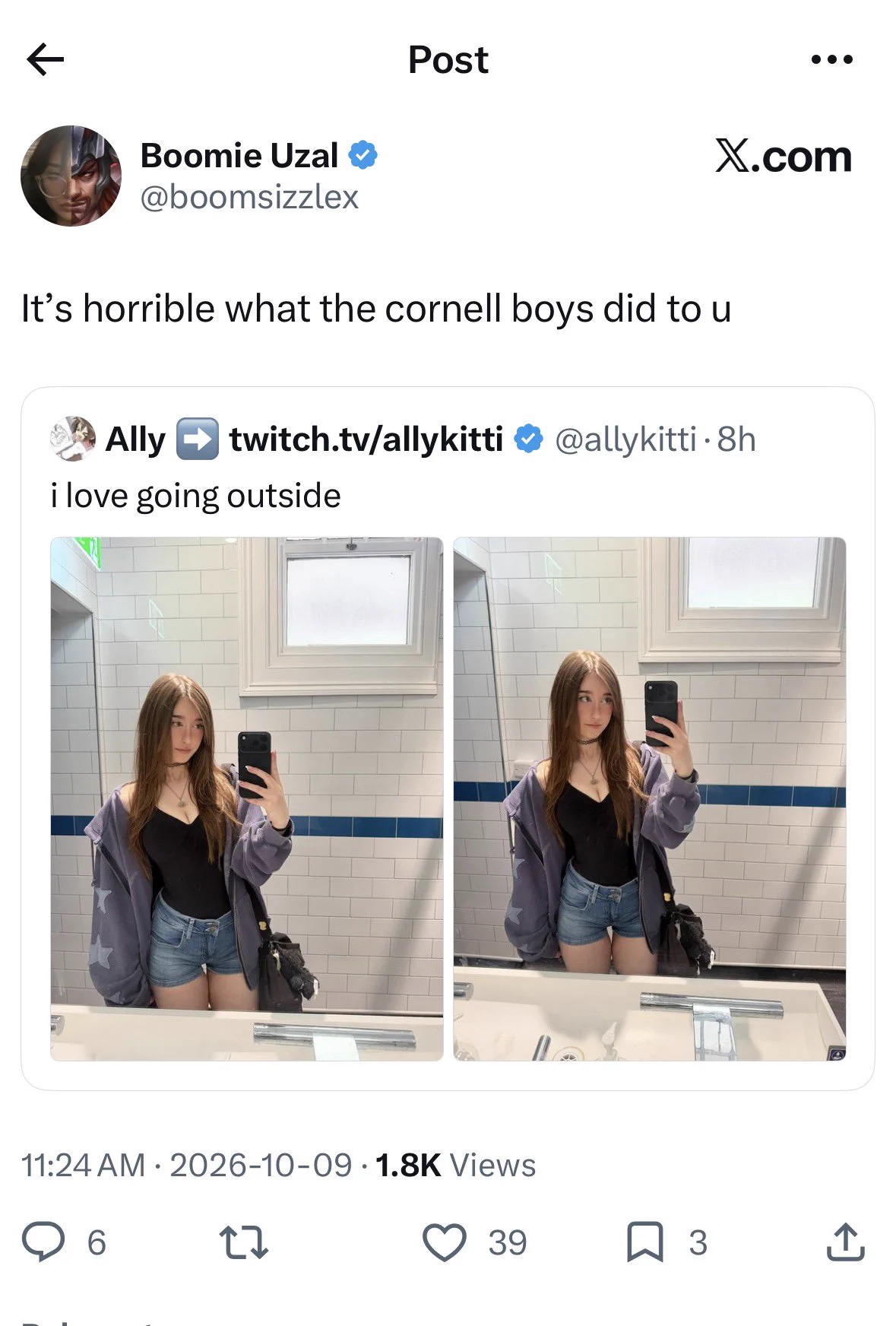 Ally ️ twitch.tv/allykitti on X: 