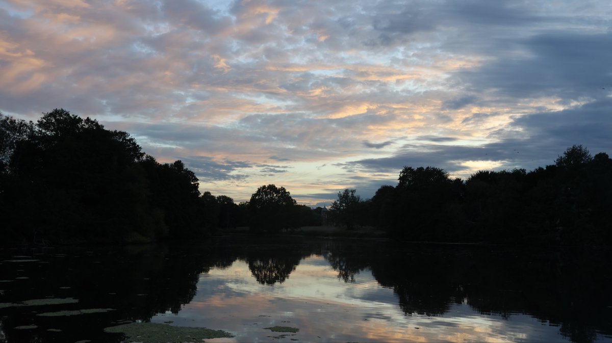 AmanBrar90's tweet photo. Late night @ApolloBrown backdrop looking through some of my recent snaps 📸

One of my top 5 producers of all time - absolutely love his music.. https://t.co/V6xeTVHRz0