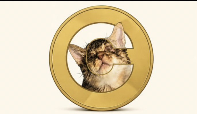 Chainvirtuoso's tweet photo. In #memecoins hype gets attention, but community keeps the narrative alive. 

$CATE grows stronger.
That’s one wild crypto journey Cate coin🔥

Were you early, or did you watch from the sidelines?

Don’t miss on the next big gem, Dm to join my TG. Lets moon together🚀

$SOL https://t.co/TLcjDi0K6g