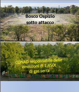 GGrimalda's tweet photo. Il #BoscoOspizio a Reggio Emilia è sotto attacco di @Conad. Ecco perché è giusto difenderlo con resistenza civile: https://t.co/s8NSMAtLap
Large retailer CONAD started destroying a wood to build a supermarket. Here’s why it's right to defend it through civil resistance. https://t.co/HjXKNAps4A
