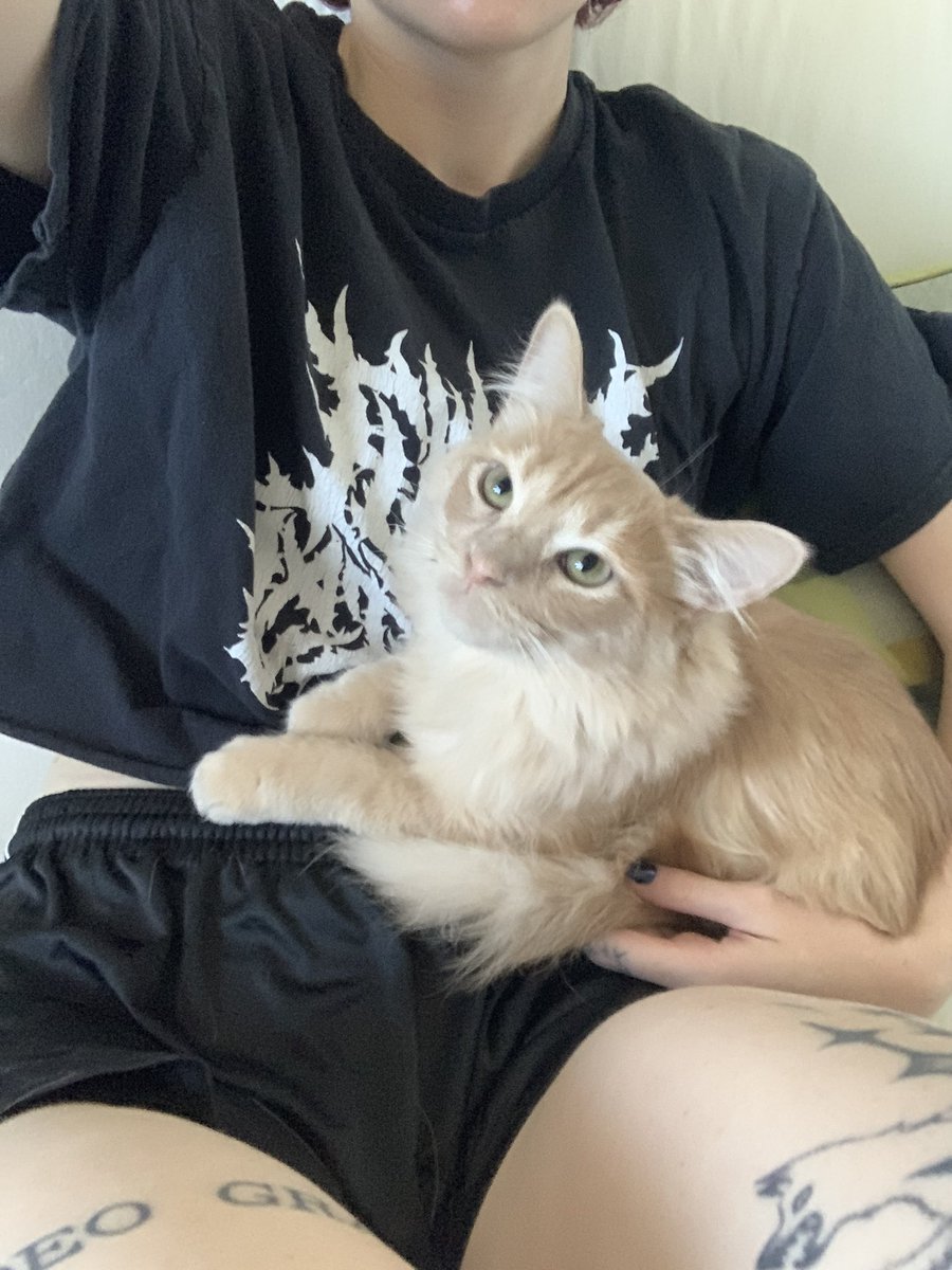 newfolderitems's tweet photo. Feels like she knows i am moving tomorrow and won’t get her back for a month .. https://t.co/BQQOVRcVxm