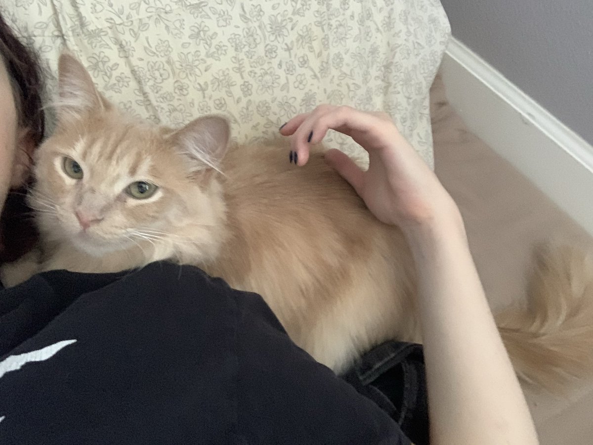 newfolderitems's tweet photo. Feels like she knows i am moving tomorrow and won’t get her back for a month .. https://t.co/BQQOVRcVxm