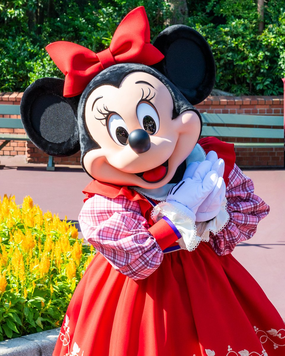 MezzoMikiD's tweet photo. ベリー摘みのミニーが久しぶりに復活！
東京ディズニーランド
「ミニーマウス（ベリーちゃん）」グリーティング☆
https://t.co/44XfGjC5A1 https://t.co/3aAVf1h0d4