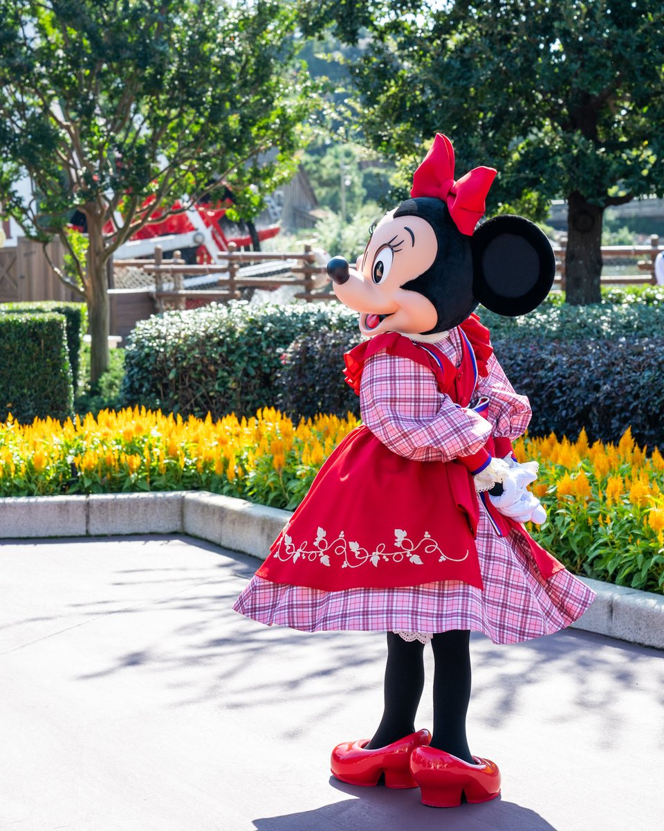 MezzoMikiD's tweet photo. ベリー摘みのミニーが久しぶりに復活！
東京ディズニーランド
「ミニーマウス（ベリーちゃん）」グリーティング☆
https://t.co/44XfGjC5A1 https://t.co/3aAVf1h0d4