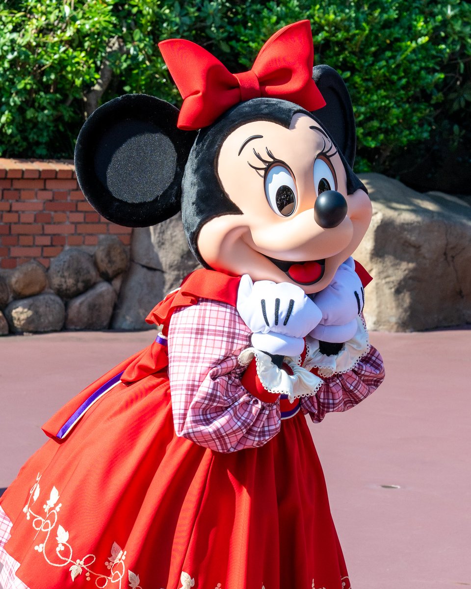 MezzoMikiD's tweet photo. ベリー摘みのミニーが久しぶりに復活！
東京ディズニーランド
「ミニーマウス（ベリーちゃん）」グリーティング☆
https://t.co/44XfGjC5A1 https://t.co/3aAVf1h0d4