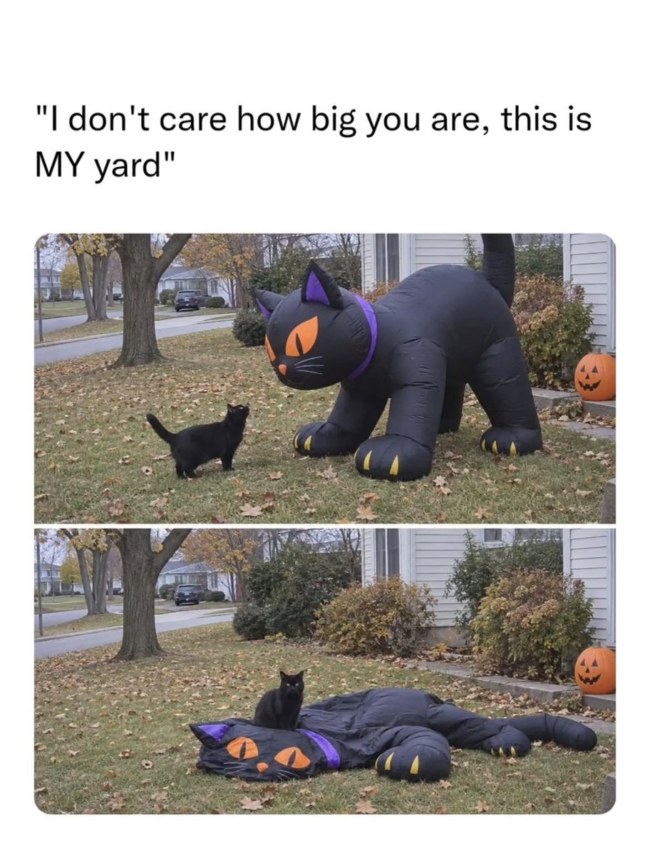 catshealdeprsn tweet picture
